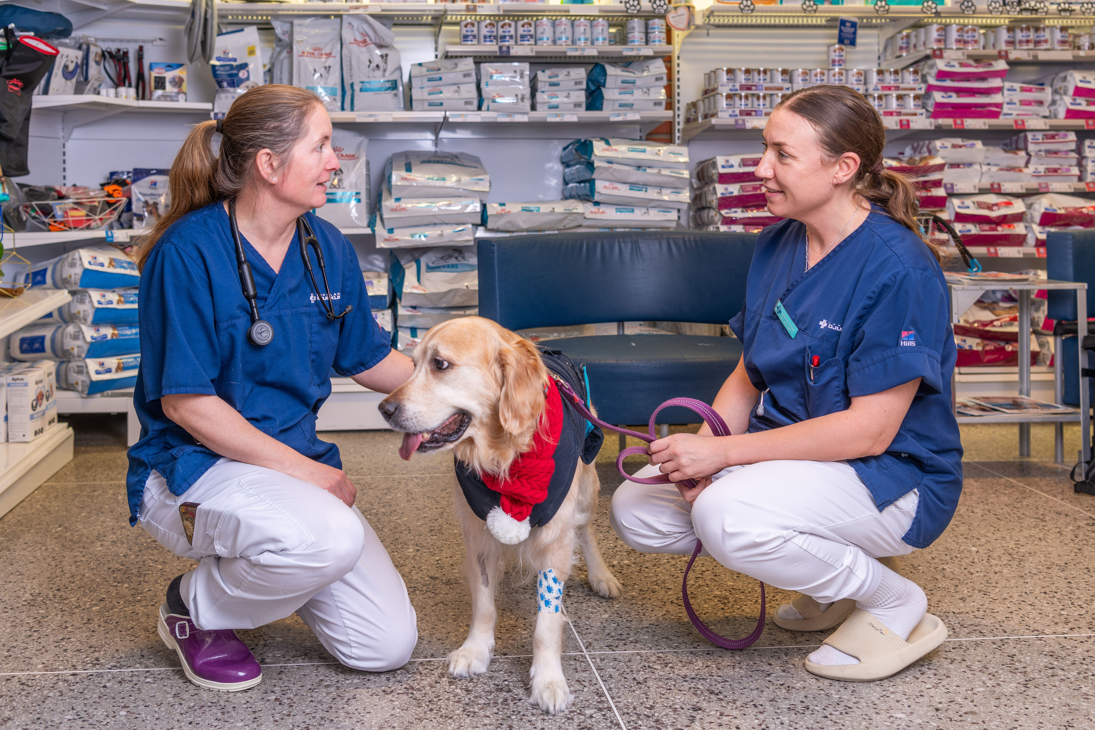 Bild på Julia Engqvist i samspråk med veterinärkollegan Lotta Siverhall. Med på bilden är också Athena, golden retriever.