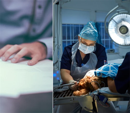 Bild på hand som signerar avtal och bild på veterinär.