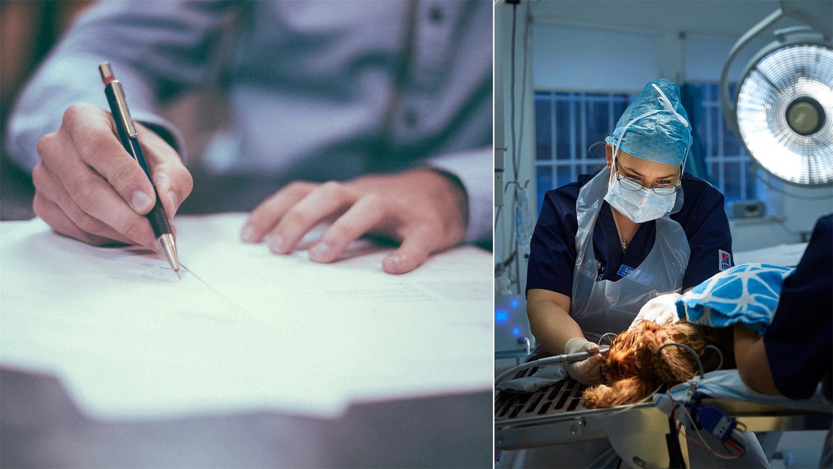 Bild på hand som signerar avtal och bild på veterinär.