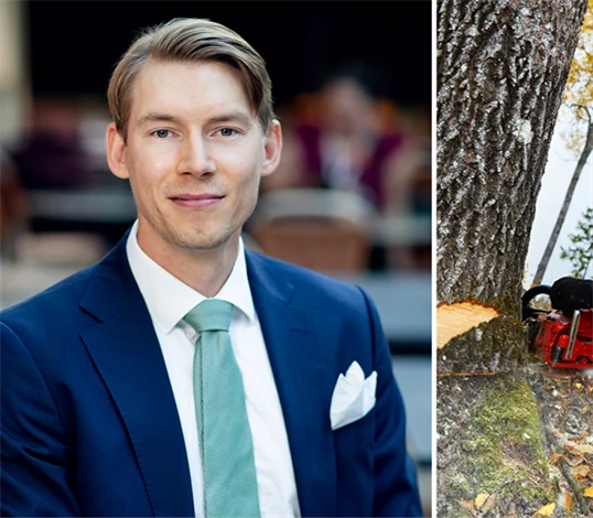 Bild på Joakim Wirén, chefsekonom på Gröna arbetsgivare, och genrebild från skogsbruk.