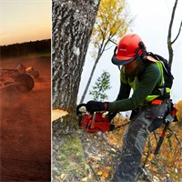 Bilder från lantbruk och skogsbruk.