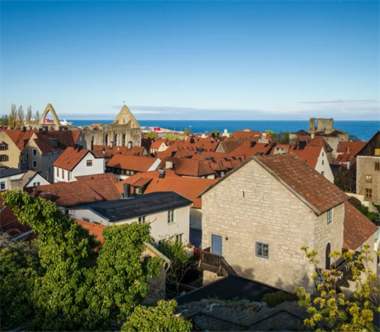 Bild över Visby.