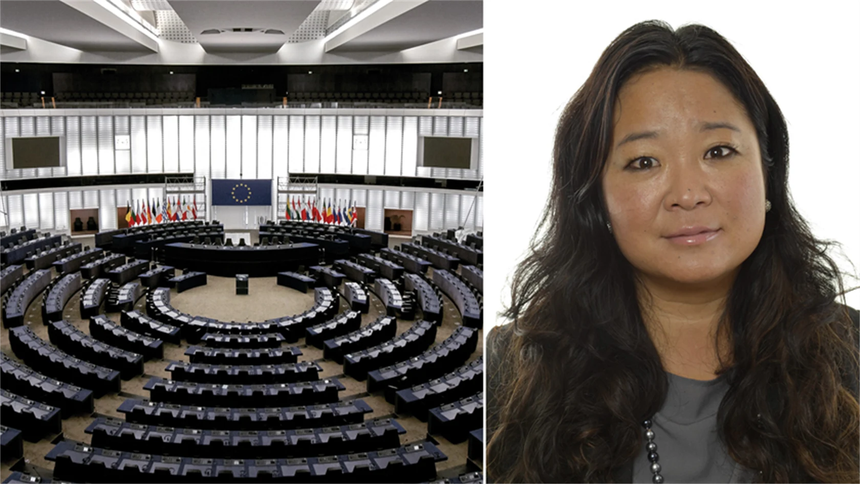 Jessica Polfjärd, EU-parlamentariker för Moderaterna.