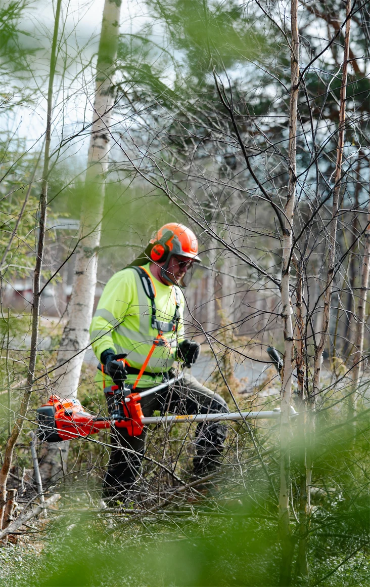 Bild på Samuel Nording som röjer.